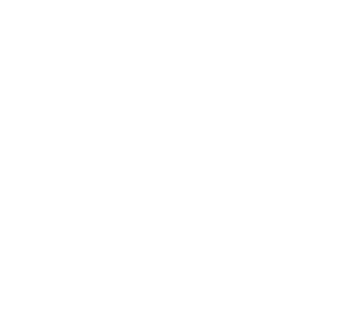 Logo_BFN