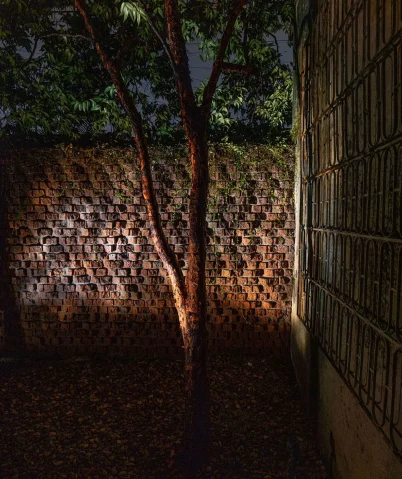 dmzkd5nrkhrmdpf33clk