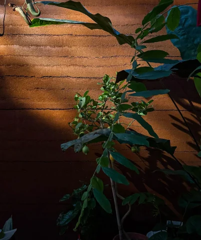 uwk2m1f8mrbwr9isntkn