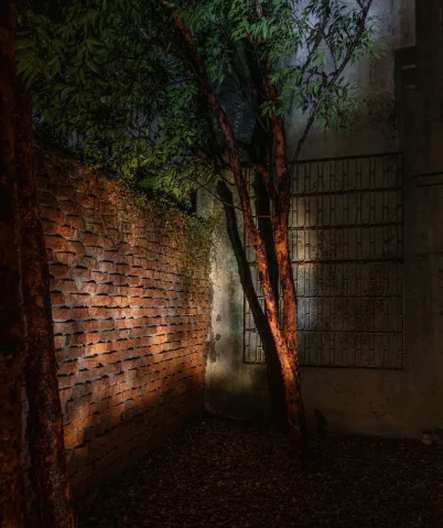 vcmwkmttfxf4razl6krs